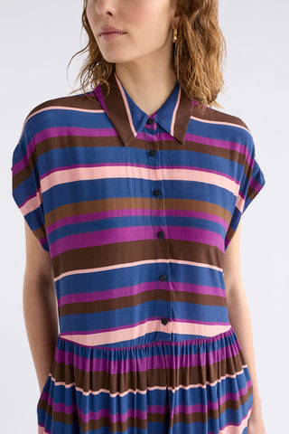 Landau Dress in Riga Stripe