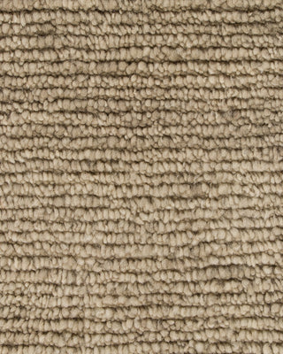 Tanami Rug Fossil